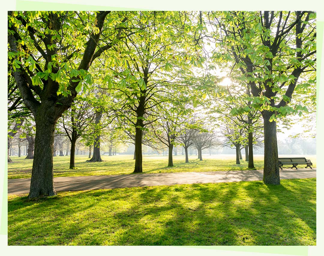 Country park