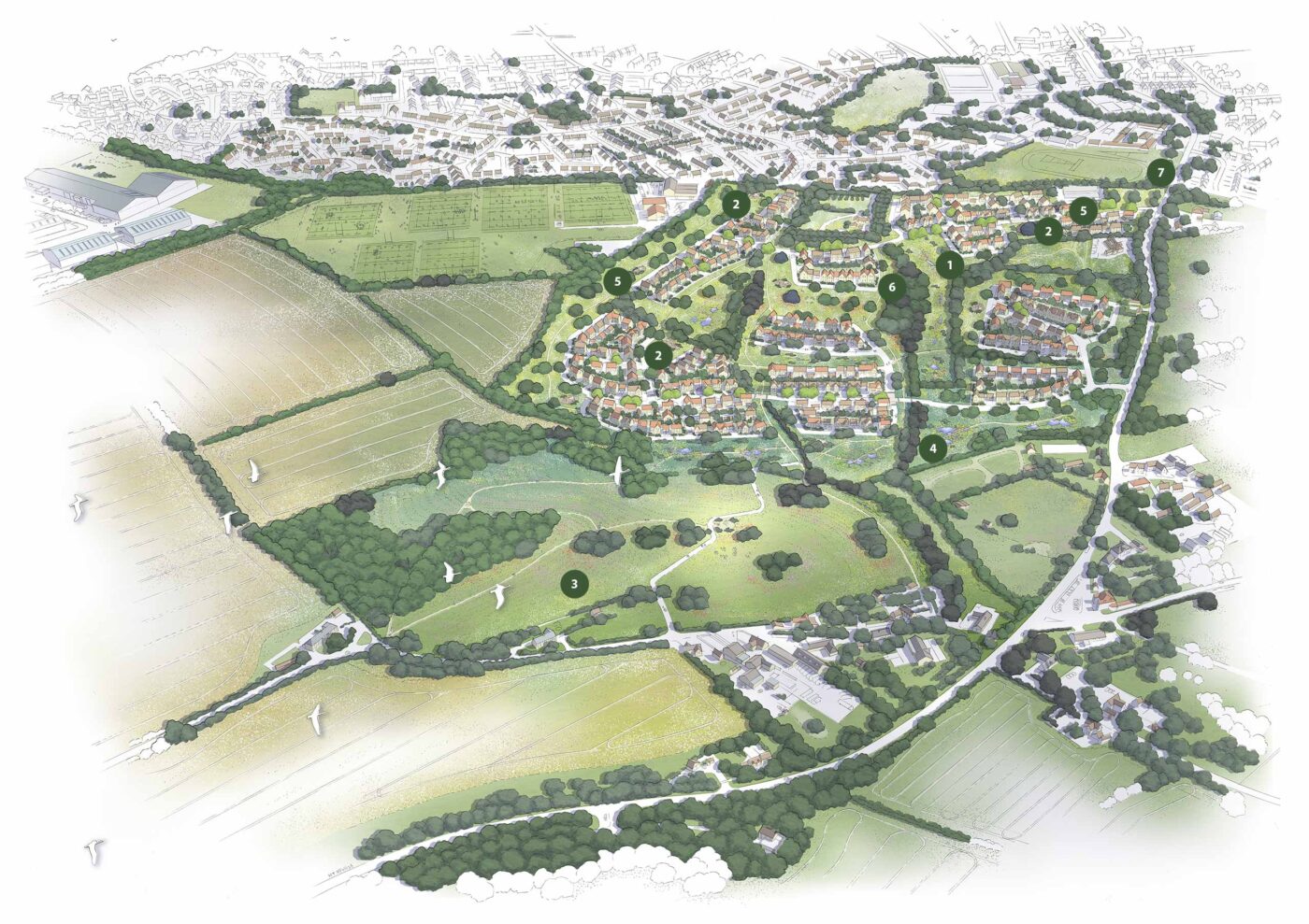 Site masterplan